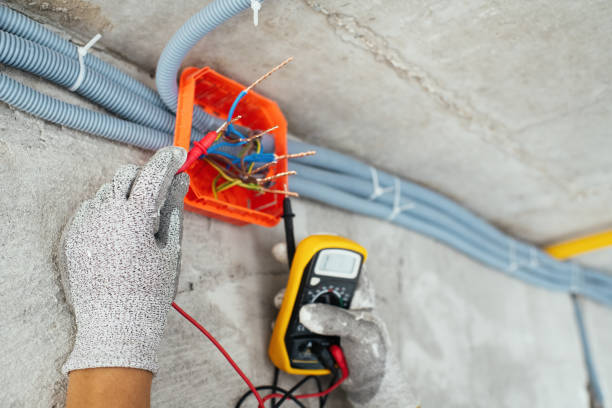 Best Generator Installation Services  in Clinton, IL